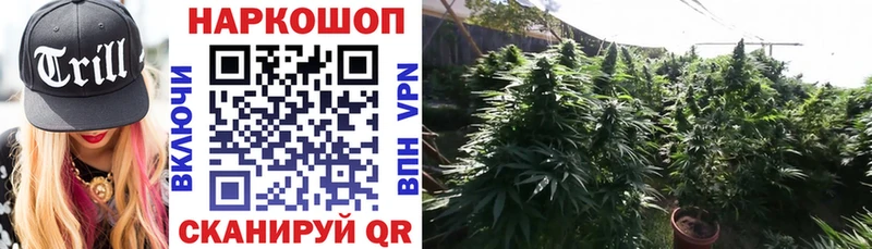 Купить наркотик Североморск mega tor  Псилоцибиновые грибы  ГАШ  Alpha PVP  МЕФ  АМФ 