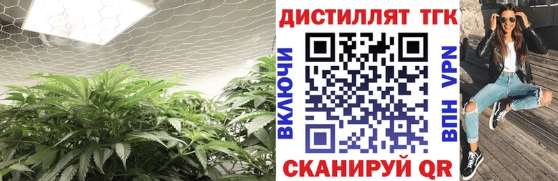 купить наркоту  Североморск  нарко площадка какой сайт  ТГК концентрат 