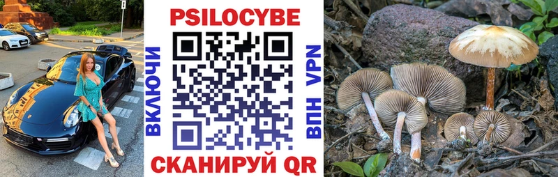 купить закладку Североморск Псилоцибиновые грибы GOLDEN TEACHER