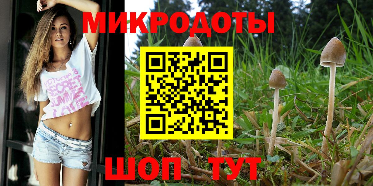 Псилоцибиновые грибы Magic Shrooms  Вход с VPN  Североморск 